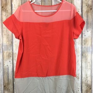 Express Short Sleeve Sheer Dress